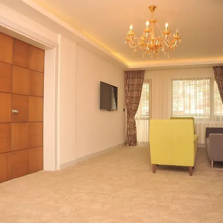 Buyuk Bayburt Hotel 3*