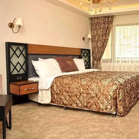 Buyuk Bayburt Hotel